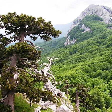 La Casetta Nel Pollino Chiaromonte